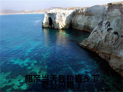 相亲当天我拉着乡下老公闪婚了全文免费阅读无弹窗大结局_（姜禾在线阅读）相亲当天我拉着乡下老公闪婚了最新章节完整版阅读