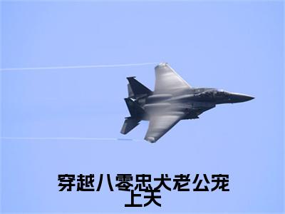 （宋清宁谢峥后续+免费）穿越八零忠犬老公宠上天小说大结局-精彩美文宋清宁谢峥免费阅读