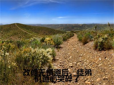 改修无情道后，徒弟们道心哭碎了（宁心赢）全文免费阅读无弹窗大结局_（宁心赢）免费阅读无弹窗最新章节列表
