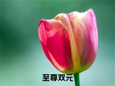 至尊双元（陈怀信小说）全文免费阅读无弹窗大结局_至尊双元最新章节