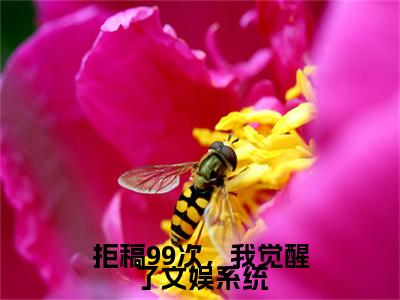 拒稿99次，我觉醒了文娱系统（陈染）全文免费阅读拒稿99次，我觉醒了文娱系统最新章节小说免费阅读_笔趣阁