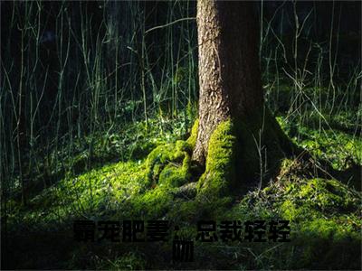 霸宠肥妻：总裁轻轻吻（沈芸夏）小说全文免费阅读无弹窗大结局_霸宠肥妻：总裁轻轻吻（沈芸夏）最新章节列表