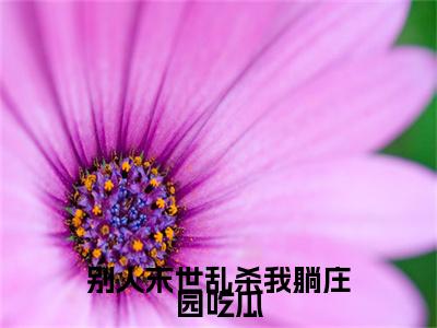 洛遥小说全文-别人末世乱杀我躺庄园吃瓜小说免费阅读大结局