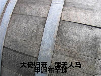 大佬归来，薄夫人马甲遍布全球（舒兮薄暮年）小说全文免费阅读-大佬归来，薄夫人马甲遍布全球（舒兮薄暮年）免费在线阅读完整版