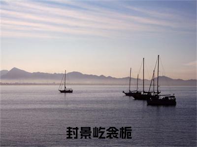 封景屹衾栀（封景屹衾栀）全文免费阅读无弹窗_封景屹衾栀小说_笔趣阁