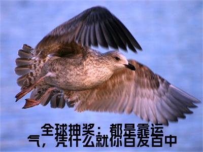 全球抽奖：都是靠运气，凭什么就你百发百中（陈亦川小说）全文免费阅读无弹窗大结局_全球抽奖：都是靠运气，凭什么就你百发百中全文免费阅读_笔趣阁