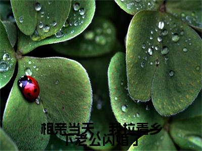 相亲当天，我拉着乡下老公闪婚了阅读无弹窗大结局_姜禾穿越小说免费阅读_笔趣阁