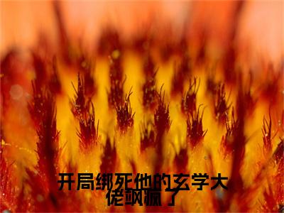 开局绑死他的玄学大佬飒疯了（沐兮）完结版小说-开局绑死他的玄学大佬飒疯了小说全文免费阅读笔趣阁