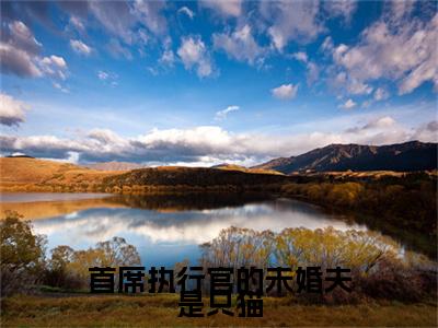 郁言琛黎冰（首席执行官的未婚夫是只猫）全文无弹窗阅读-精彩小说首席执行官的未婚夫是只猫（郁言琛黎冰）