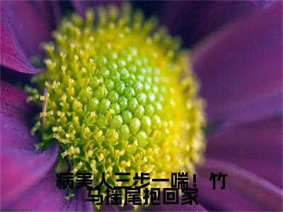 病美人三步一喘！竹马摇尾抱回家云雾怜谢烬野小说免费阅读-病美人三步一喘！竹马摇尾抱回家抖音新书热荐