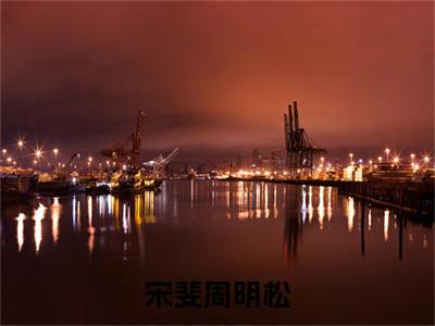 宋斐周明松（周明松宋斐）全文免费阅读无弹窗大结局_（宋斐周明松）周明松宋斐免费阅读无弹窗最新章节列表