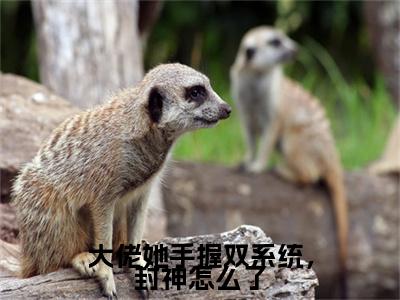 大佬她手握双系统，封神怎么了（陆云韶小说）在线阅读全文-陆云韶小说免费阅读完结版全文