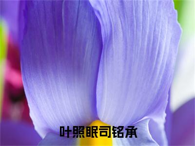 叶照眠司铭承小说全文-叶照眠司铭承无弹窗免费阅读