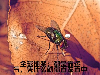 全球抽奖：都是靠运气，凭什么就你百发百中（陈亦川）全文免费阅读无弹窗大结局_全球抽奖：都是靠运气，凭什么就你百发百中_笔趣阁（陈亦川）