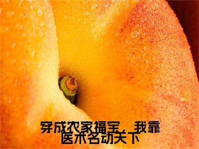穿成农家福宝，我靠医术名动天下是什么小说-张知全文免费阅读无弹窗大结局（穿成农家福宝，我靠医术名动天下）最新章节阅读