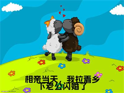 相亲当天，我拉着乡下老公闪婚了（姜禾）全文免费阅读无弹窗大结局_姜禾小说全文无弹窗