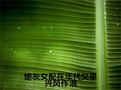 炮灰女配在年代文里兴风作浪（夏宇花忍冬）全文免费阅读无弹窗大结局_夏宇花忍冬小说免费最新章节列表_笔趣阁