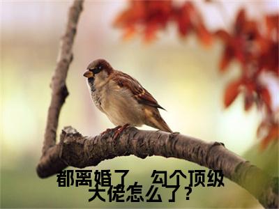 热门小说姜檀全文免费阅读无弹窗大结局-都离婚了，勾个顶级大佬怎么了？全文无弹窗免费阅读大结局