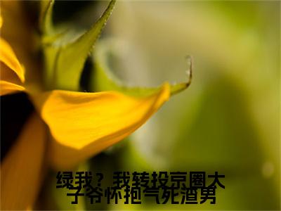 （全文）+（番外）林清桐小说免费阅读-绿我？我转投京圈太子爷怀抱气死渣男林清桐小说在哪里可以看