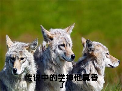 传说中的学神他真香了（黎深陌徐浅熹）全文免费阅读大结局-黎深陌徐浅熹最新章节列表免费阅读大结局