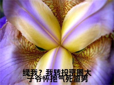绿我？我转投京圈太子爷怀抱气死渣男小说免费阅读林清桐完整版全文大结局