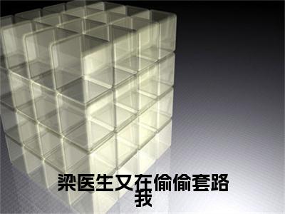 宋佳曦梁欢全文免费大结局梁医生又在偷偷套路我小说在线阅读