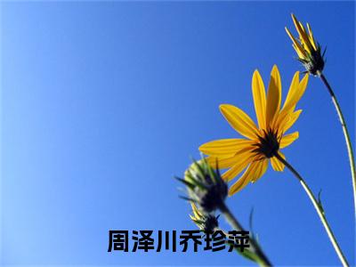 周泽川乔珍萍全文免费在线阅读大结局_（乔珍萍周泽川免费阅读无弹窗）周泽川乔珍萍全文免费完结版阅读（乔珍萍周泽川）