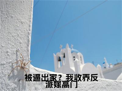 曹舒月小说（被逼出家？我收养反派嫁高门）全文免费阅读无弹窗大结局-被逼出家？我收养反派嫁高门最新热点小说