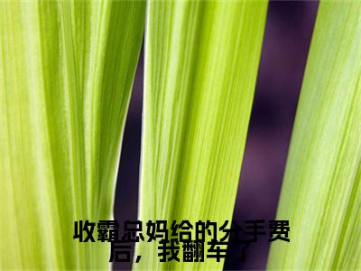 收霸总妈给的分手费后，我翻车了免费小说-（收霸总妈给的分手费后，我翻车了）许安然楚子墨完结版在线阅读