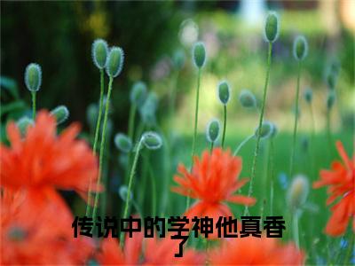 徐浅熹黎深陌是哪部小说的主角，传说中的学神他真香了全文无弹窗完整版阅读