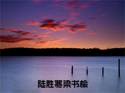 （梁书榆陆胜寒）是什么小说-陆胜寒梁书榆（梁书榆陆胜寒）免费阅读大结局最新章节列表_笔趣阁