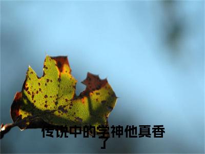 传说中的学神他真香了（徐浅熹黎深陌）全文免费阅读无弹窗大结局_传说中的学神他真香了全文免费阅读