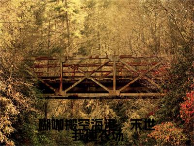 苏舒长篇免费小说，糊咖搬空海港，末世我建农场最新章节在线阅读