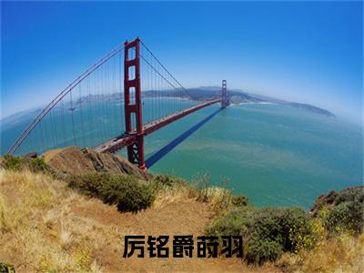 厉铭爵莳羽小说（莳羽厉铭爵）全文免费阅读无弹窗大结局_（厉铭爵莳羽）莳羽厉铭爵小说免费阅读最新章节列表