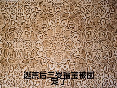 叶晴天（逃荒后三岁福宝被团宠了）全文免费阅读无弹窗大结局_叶晴天全文免费阅读（逃荒后三岁福宝被团宠了）最新章节列表