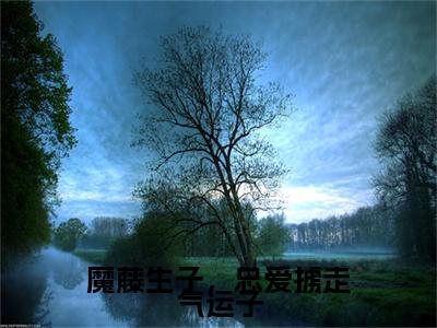 魔藤生子，总爱掳走气运子（谛鸢）新上热文小说全文免费阅读-小说（谛鸢）完整版阅读