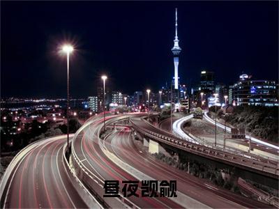 姜且小说（昼夜觊觎已完结小说全集完整版大结局）昼夜觊觎小说全文阅读笔趣阁