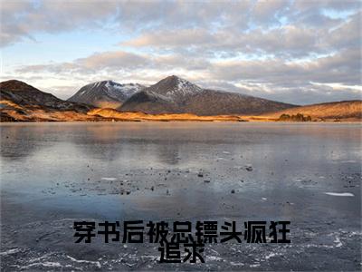小说穿书后被总镖头疯狂追求无弹窗免费阅读-新上热文小说（许长宁）讲的是什么