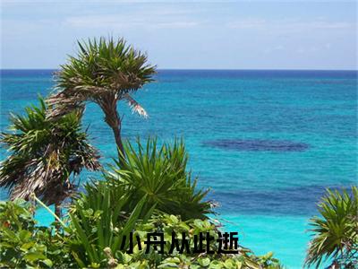 小舟从此逝全文免费阅读大结局_小舟从此逝（慕思南）完整版在线赏析