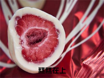 糕糕在上（谷栗谢忱）全网首发最火小说-主角谷栗谢忱的小说完整版免费阅读