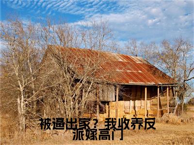 被逼出家？我收养反派嫁高门（曹舒月）全文免费阅读无弹窗大结局_（曹舒月）全文阅读_笔趣阁（被逼出家？我收养反派嫁高门）