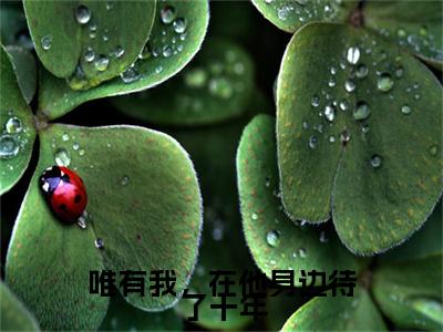 厉斐言齐疏桐小说唯有我，在他身边待了十年完整版大结局-厉斐言齐疏桐小说完结版在线阅读