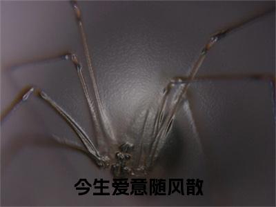 今生爱意随风散张崇宇无广告阅读新上热文张崇宇在线免费读