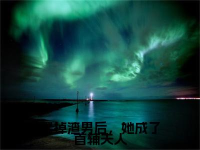 踹掉渣男后，她成了首辅夫人小说（陆婉婉谢怀瑾）全文免费阅读无弹窗大结局_（踹掉渣男后，她成了首辅夫人）陆婉婉谢怀瑾小说最新章节列表