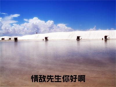 情敌先生你好啊「精彩小说」无弹窗阅读岑沐白郁天青大结局阅读