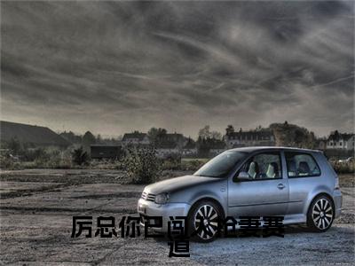 沈雨琪厉泽宇的小说免费阅读（厉总你已闯入抢妻赛道的小说免费阅读）全文完整版免费阅读-厉总你已闯入抢妻赛道好书推荐