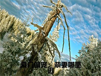 豪门偏宠：萌妻哪里逃全文免费无弹窗大结局_程澜依免费豪门偏宠：萌妻哪里逃最新章节列表_笔趣阁