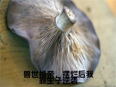 兽世换亲，摆烂后我靠生子逆袭小说最新试读_付清是（兽世换亲，摆烂后我靠生子逆袭）_笔趣阁（兽世换亲，摆烂后我靠生子逆袭）