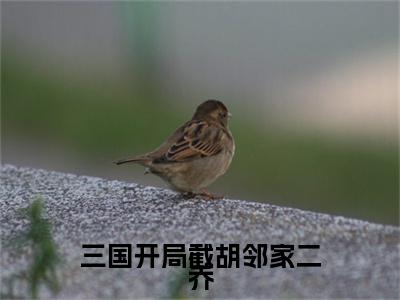三国开局截胡邻家二乔（韦天宝）全文免费阅读无弹窗大结局_三国开局截胡邻家二乔全文免费阅读最新章节列表