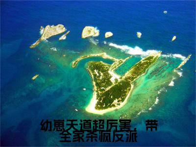 幼崽天道超厉害，带全家杀疯反派（蓁宝）小说-幼崽天道超厉害，带全家杀疯反派小说免费最新章节列表